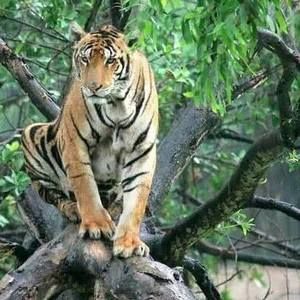 Meet your Posher, Annie